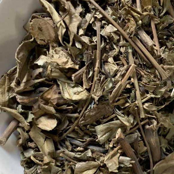 Cây Hoàn Ngọc Ngừa Ung Thư 100g, Hoàn Ngọc Khô Hỗ Trợ Ung Thư, Trà Hoàn Ngọc Tốt Cho Người U Bướu