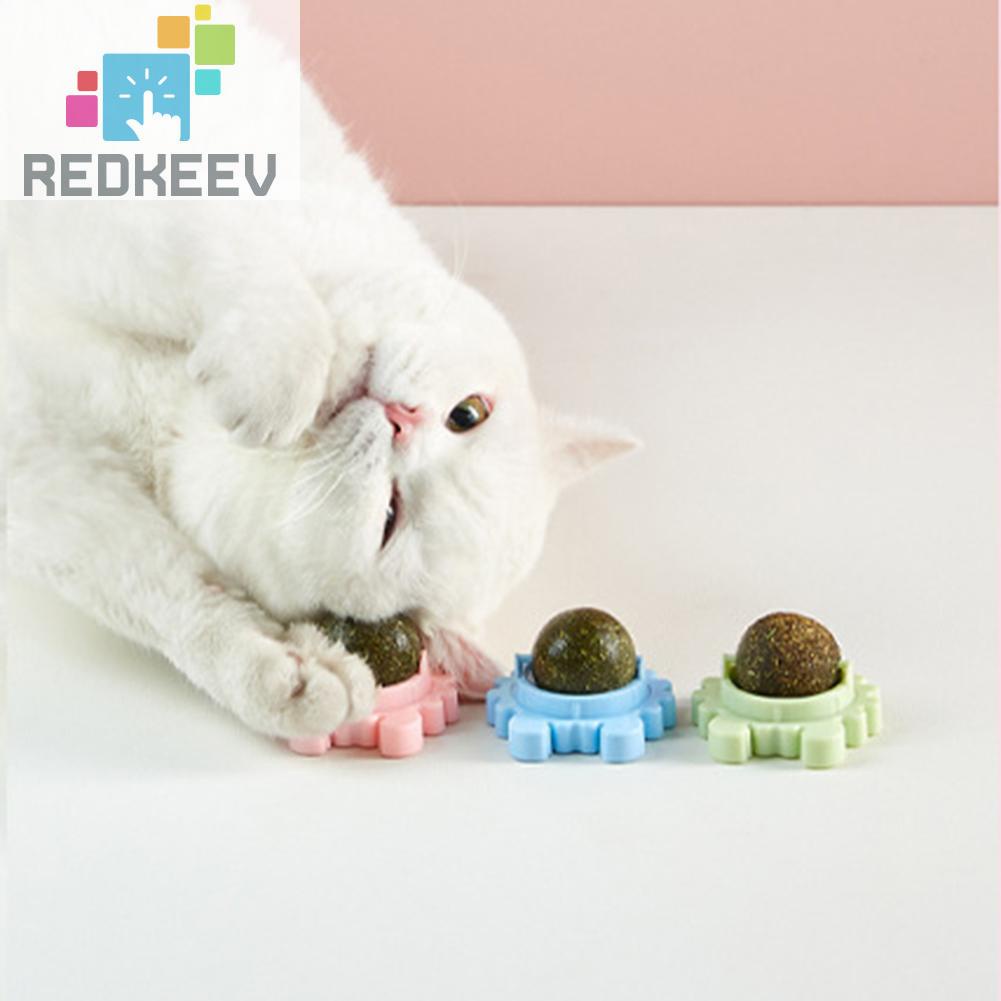 Quả Bóng Đồ Chơi Nhai Cắn Có Thể Xoay Được Cho Mèo Cưng