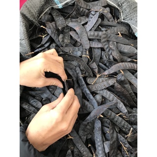 Bồ kết khô 1kg ( quả mẩy đẹp) mới
