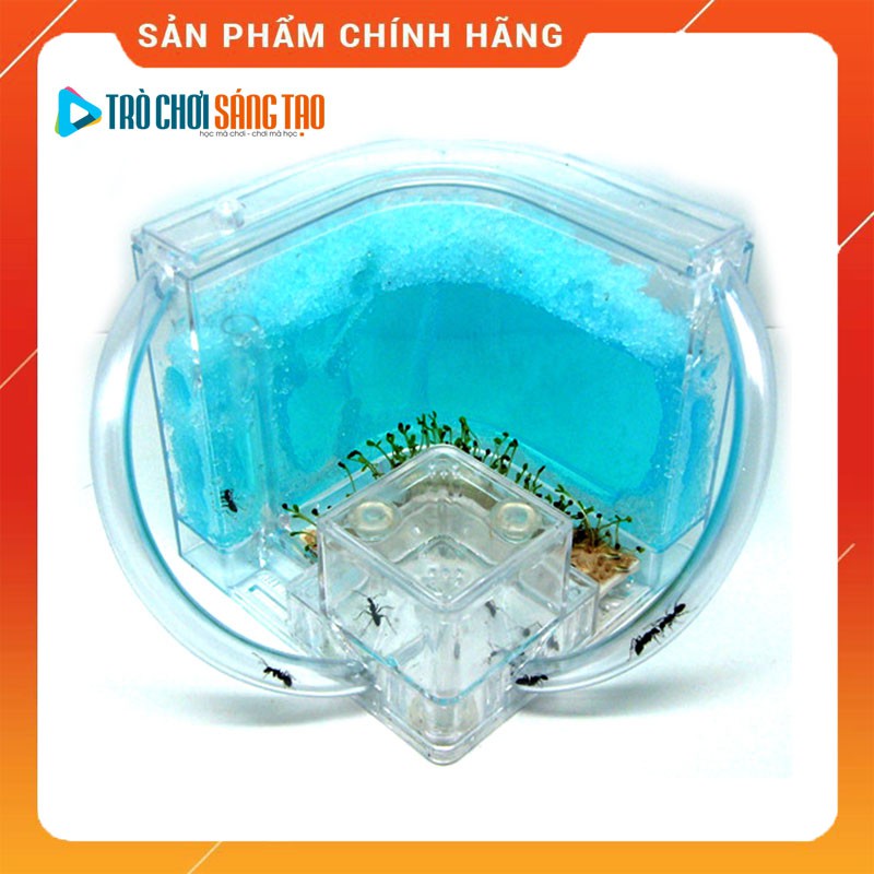 Bộ đồ chơi khoa học nuôi kiến 4D Ant Works – Phiên bản mới