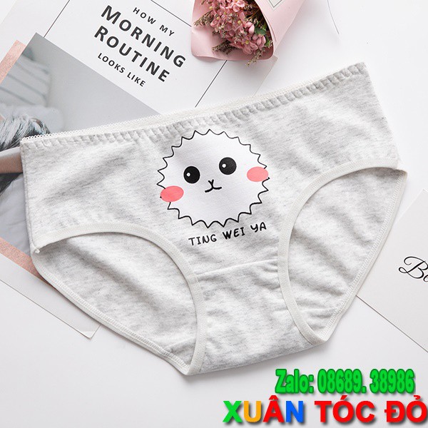 [Mã WASTDEP giảm 5K đơn bất kì] SỈ ZALO RẺ HƠN NHIỀU_ Quần Lót 5 Kiểu Mặt Loài Vật Siêu Xinh N010 | BigBuy360 - bigbuy360.vn