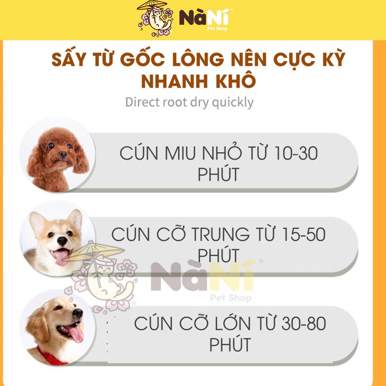 Máy sấy lông chuyên dụng chó mèo, thú cưng, tích hợp lược kim chải lông cho pet - Sấy khô nhanh từ 10p - Nà Ní Pet Shop