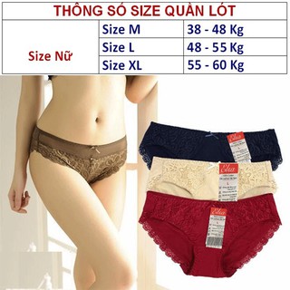 Giới thiệu sản phẩm Combo 05 Quần chip nữ chất liệu Cotton Ren - Mềm, thoáng, thời trang