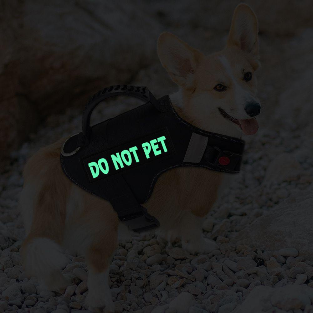 LET Set 2 Miếng Dán Cổ Áo Phát Quang Cho Thú Cưng