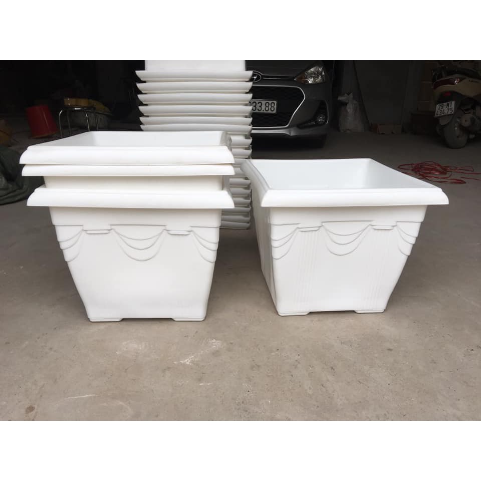 Combo 5 chậu vuông nơ to