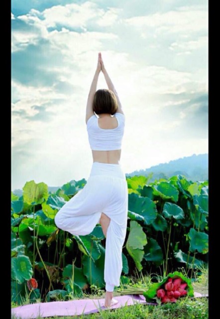 Bộ đồ tập Yoga, múa bụng dáng Alibaba hàng Yborn cao cấp