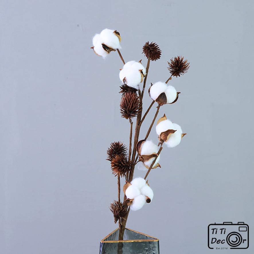 Bông hoa gòn trang trí chrismast, giáng sinh, noel, xmas, tiểu cảnh, hoa khô, mẫu cành nhiều bông – Titi decor