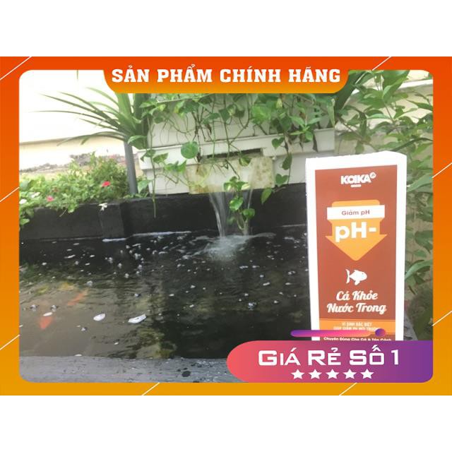 [Bản mới nhất]Giảm pH -KOIKA(tặng kèm bộ test PH)