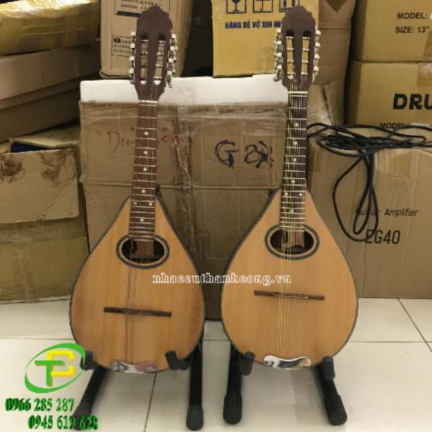 Đàn Mangdolin gỗ hồng đào | Thiết Bị Đoàn Đội