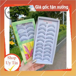 Lông Mi giả 10 cặp (Mi Hộp Xanh Lá) Mã 36