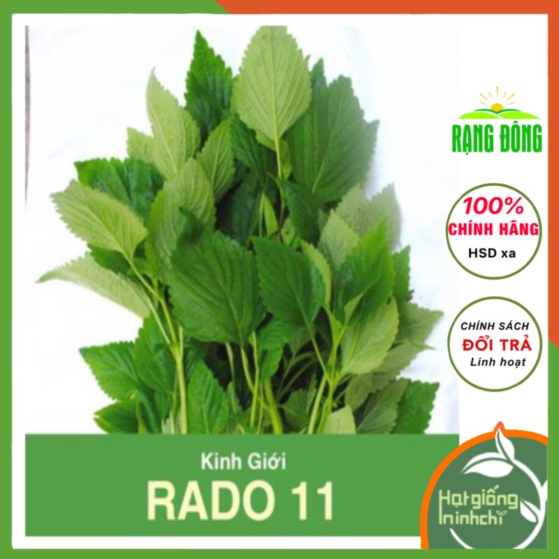 Hạt giống rau kinh giới, giống rau gia vị Trồng Quanh Năm (gói 1gram) - Rau củ quả trồng sân thượng, ban công.
