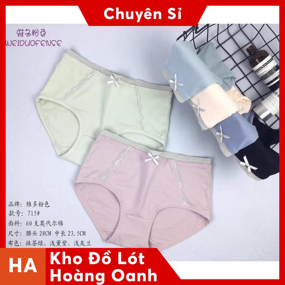 Quần Lót Nữ - Hàng Xách Tay Nhật Chất lượng Siêu Mịn