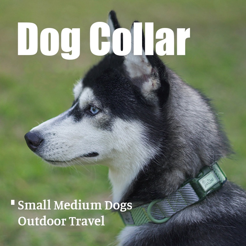 HamshMoc Vòng Cổ Chữ D Bằng Kim Loại Mềm Chống Thất Lạc Có Thể Điều Chỉnh Cho Thú Cưng Cỡ Nhỏ / Vừa / Lớn