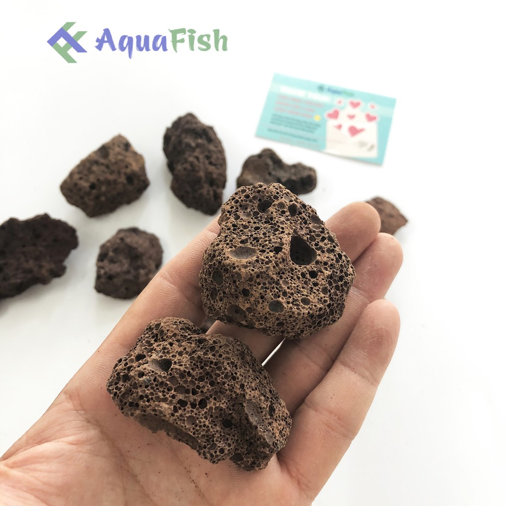 Nham Thạch Trung Quốc Túi 1kg Size To (vật liệu lọc cao cấp, nhẹ, độ xốp rỗng cao)