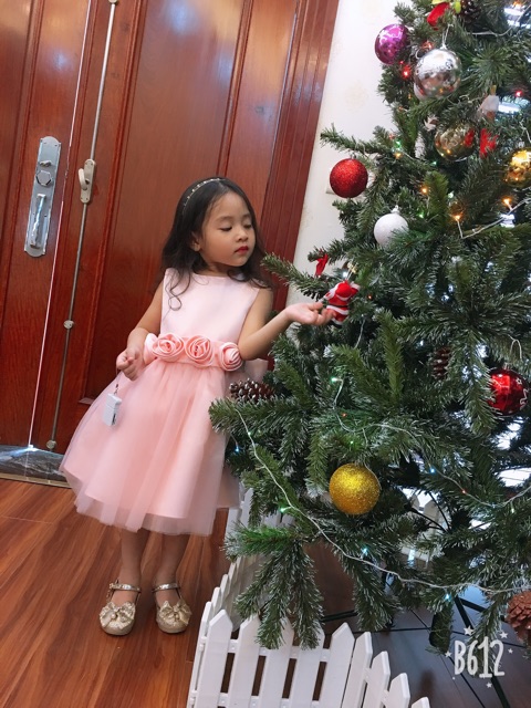Đầm công chúa Next