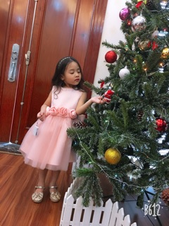 Đầm công chúa Next