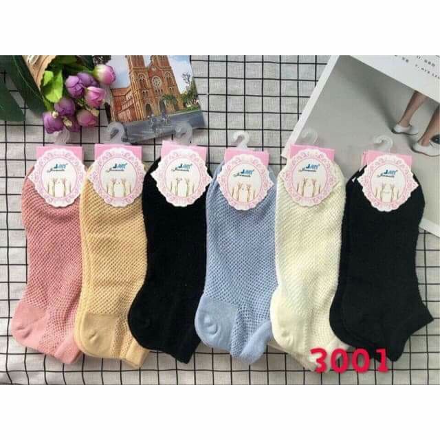 Combo 10 Đôi tất lưới nư hàng đẹp