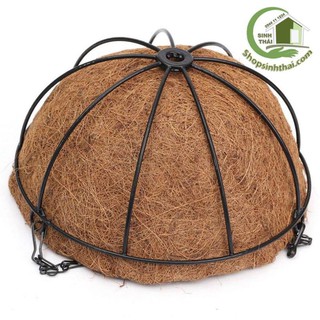 Chậu treo trồng cây xơ dừa khung sắt 25cm - giao kiểu ngẫu nhiên