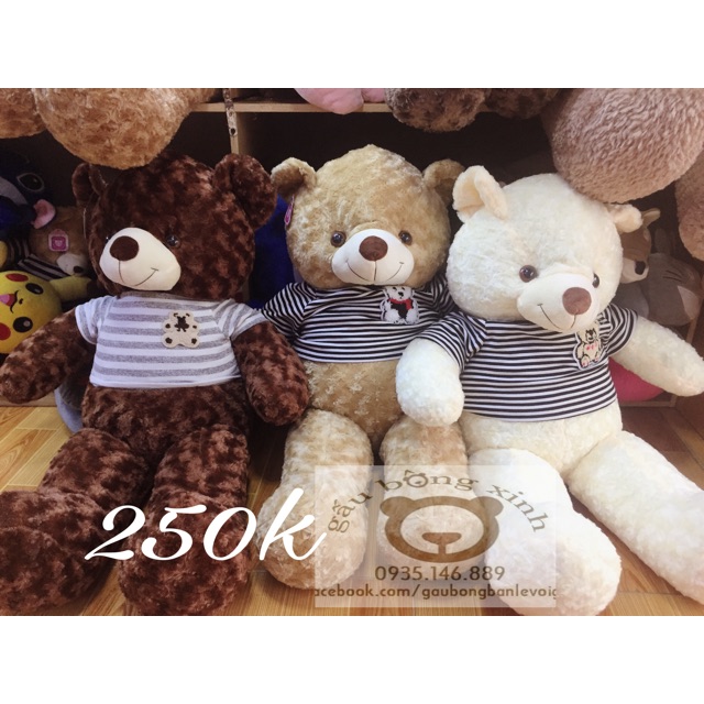Gấu Teddy vnxk 80cm