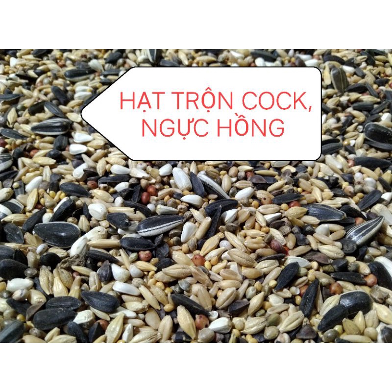 1kg hạt trộn gồm 9 loại hạt dành cho NGỰC HỒNG-COCKATEIL-MOON-GREEN CHEEK-LORY-MONK