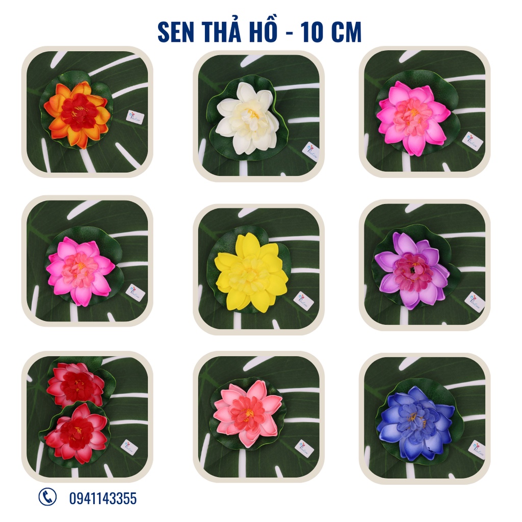 HCM_Hoa sen thả hồ, trang trí tiểu cảnh thả nổi trên nước
