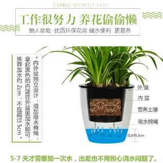 chậu cây móc treo