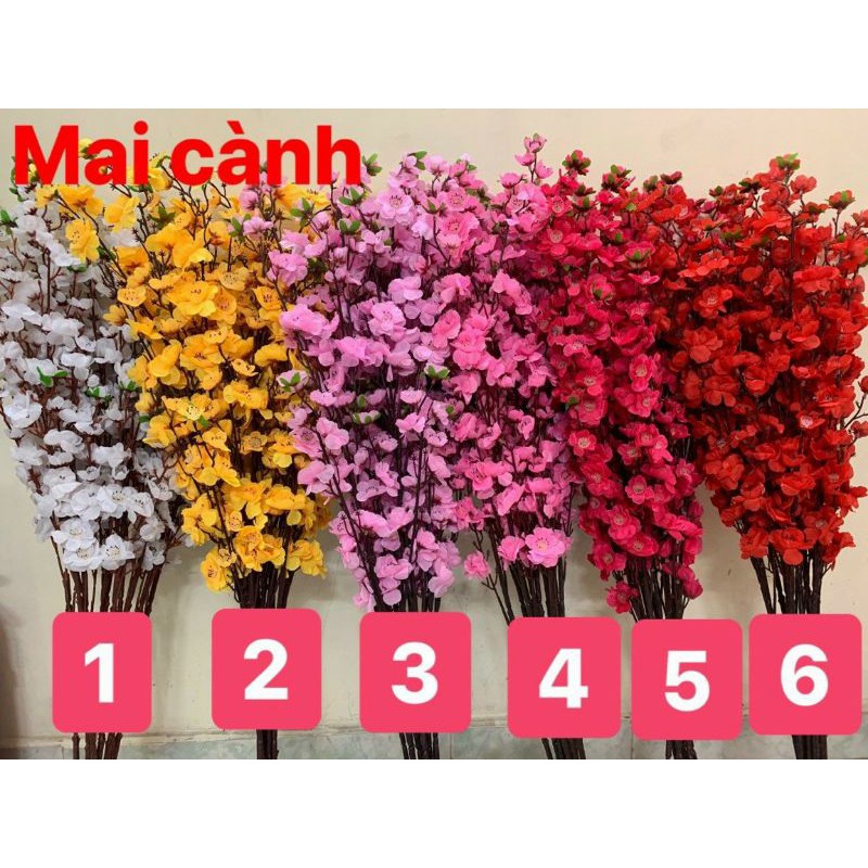 Cành hoa mai, cành hoa đào giả trang trí ngày tết đa dạng màu sắc giá rẻ