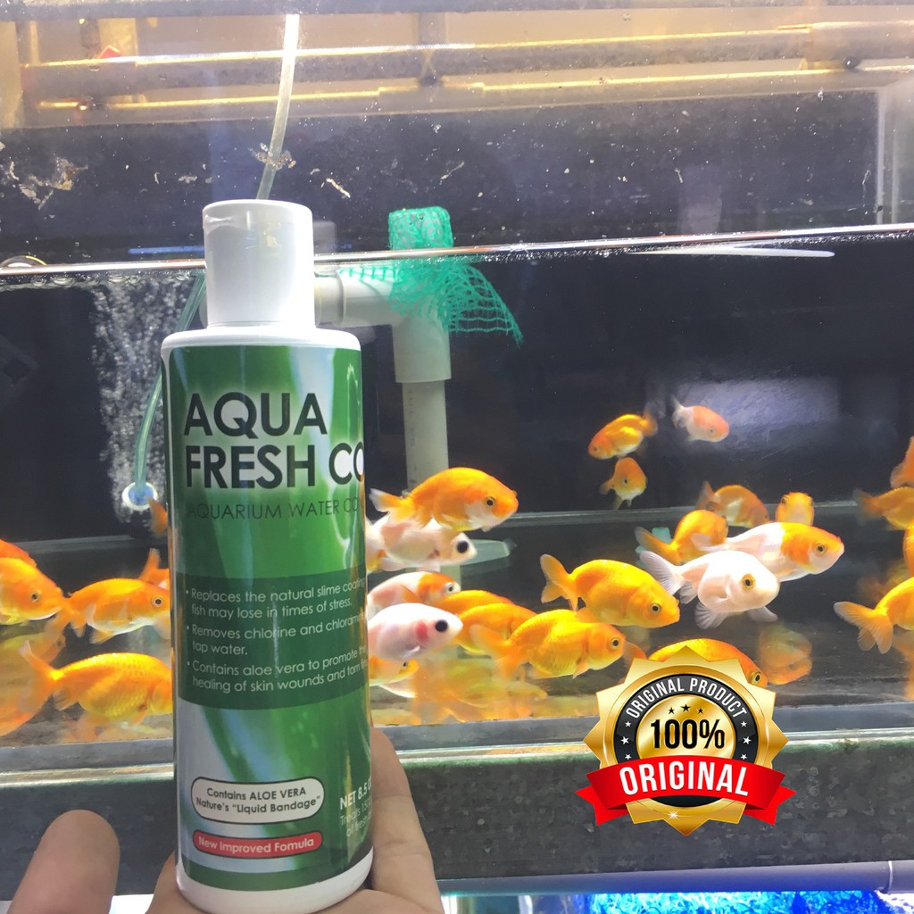 [hàng nhập khẩu-𝑭𝑹𝑬𝑬𝑺𝑯𝑰𝑷]✅AQUA FRESH COAT ✅tinh chất Nha Đam giảm stress,khử nước hồ cá cảnh 250ml