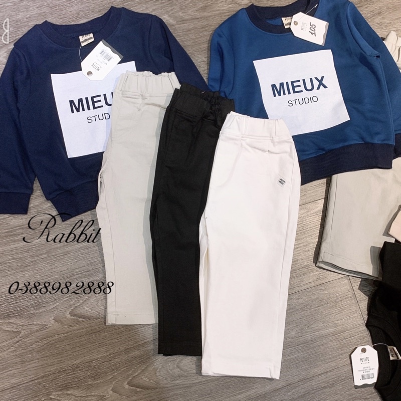 Bộ Petite 4 màu
