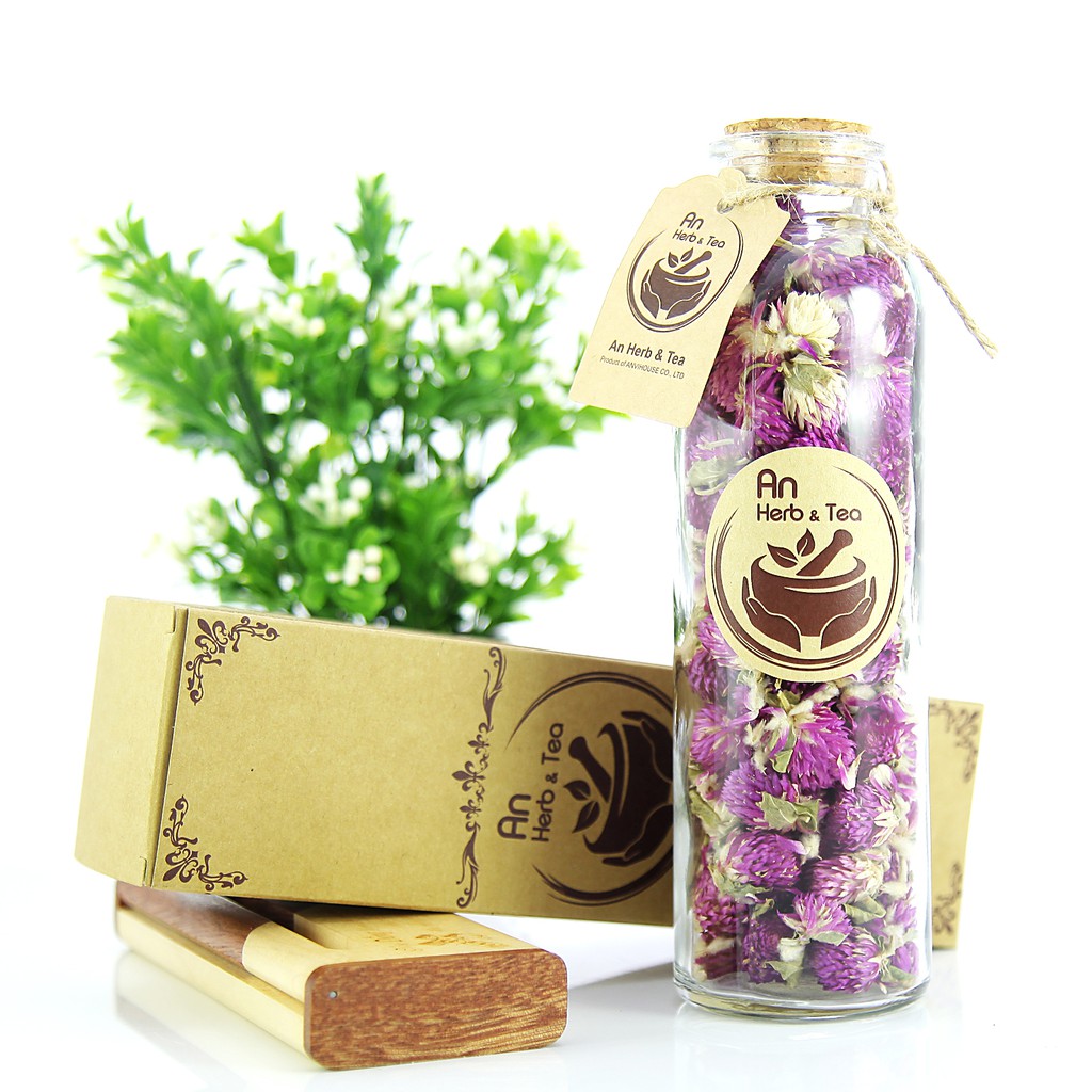 Trà cúc bách nhật tím | BigBuy360 - bigbuy360.vn