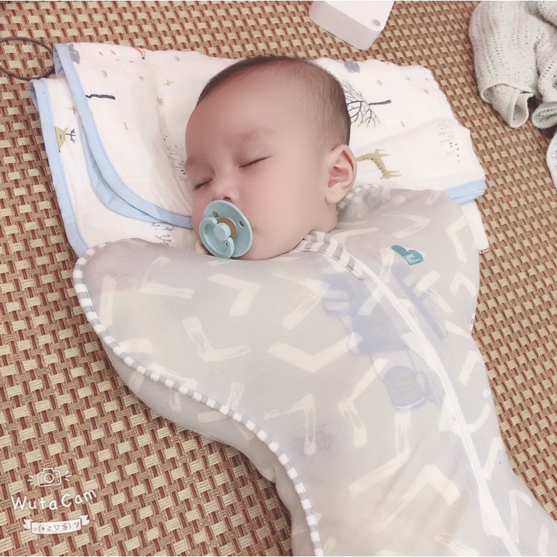 Nhộng love to dream