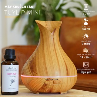 Máy xông tinh dầu 3 màu - skyy69