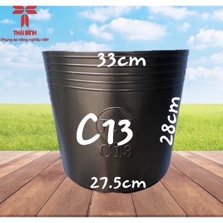 Combo 100 cái chậu nhựa trồng cây c13 -chậu nhựa thái bình