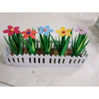 Vĩ hàng rào hoa sao 5cm x 18cm
