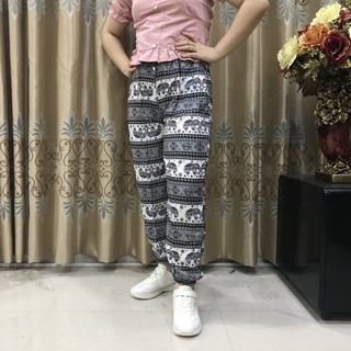 Quần Lanh Voi Bo Gấu