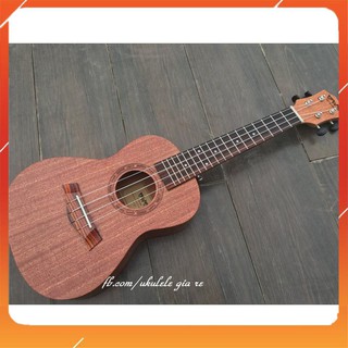Đàn ukulele concert 23inch bws mc gỗ mahogany siêu xịn