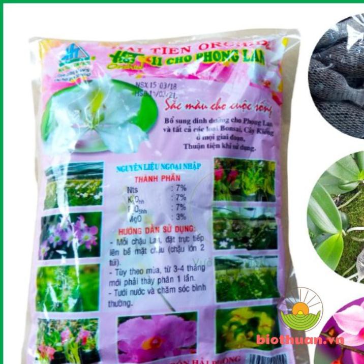 Phân Bón Lan Túi Lưới Hải Tiên màu hồng