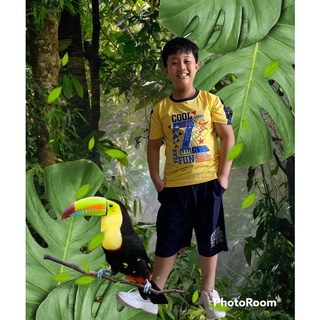 Bộ bé trai size 32-50kg