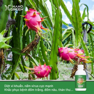 NANO BẠC NÔNG NGHIỆP HẠN CHẾ VI KHUẨN, NẤM, VIRUS, BỆNH VÀNG LÁ, THỐI RỄ, XÌ MỦ THÂN-NANO XGREEN AHT CORP (AHTC) 100ML