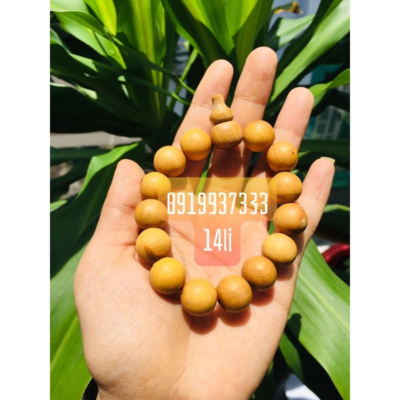 Vòng gỗ quỉ kiến sầu