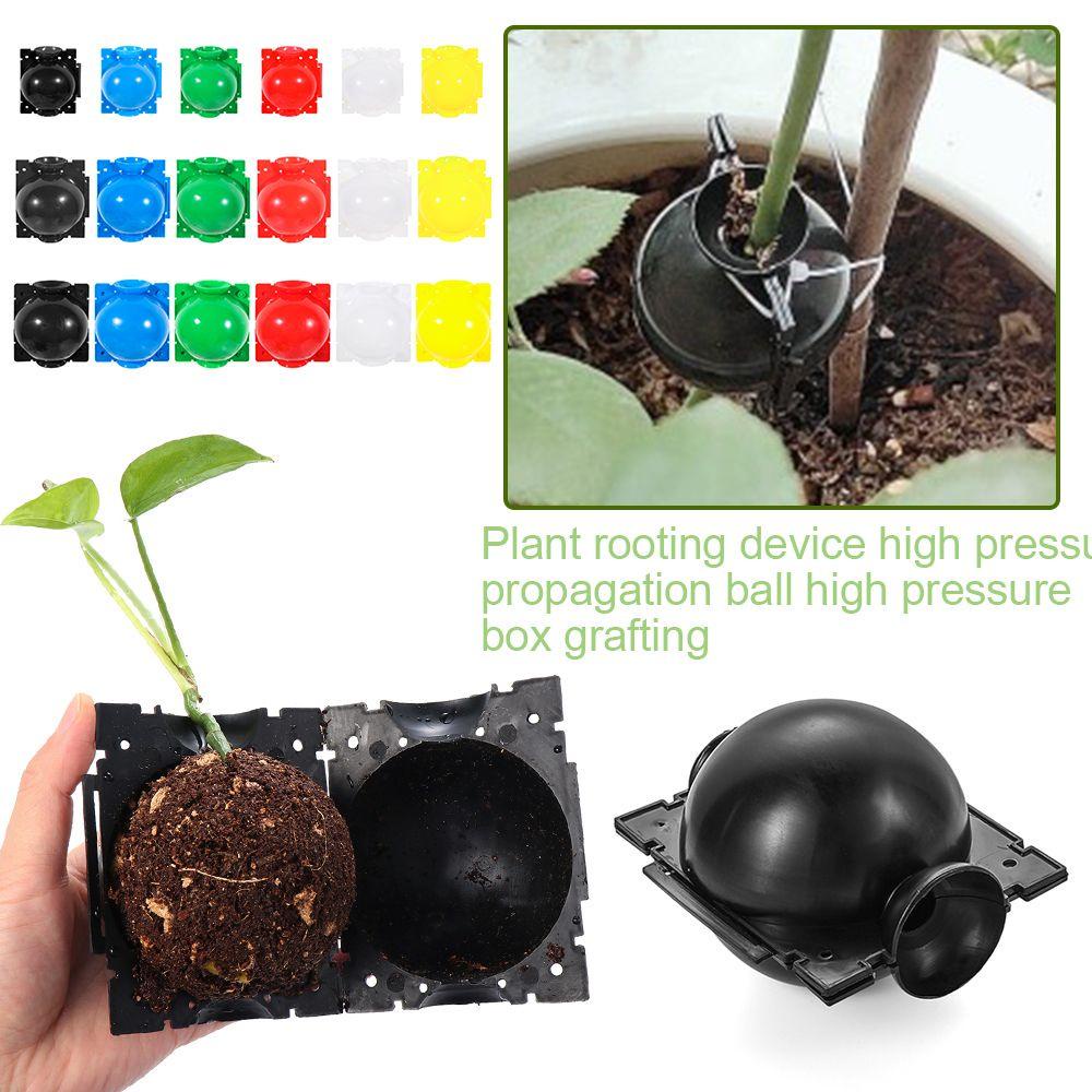 Bóng Ghép Nối Botany Root 3 Chuyên Dụng