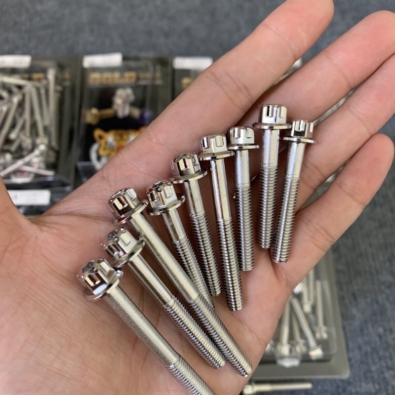 Ốc Máy Salaya Inox 304 Gắn Xe WINNER X