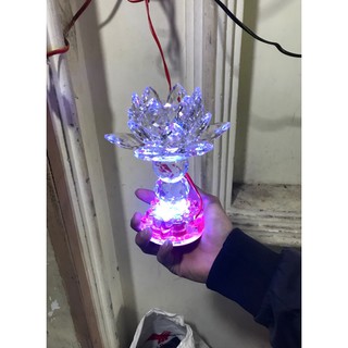 ĐÈN LED PHA LÊ ĐÀI SEN 502 1 CẶP