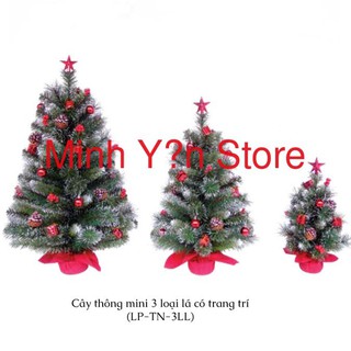 Cây Thông Mini 3 Loại Lá LP-TN-3LL