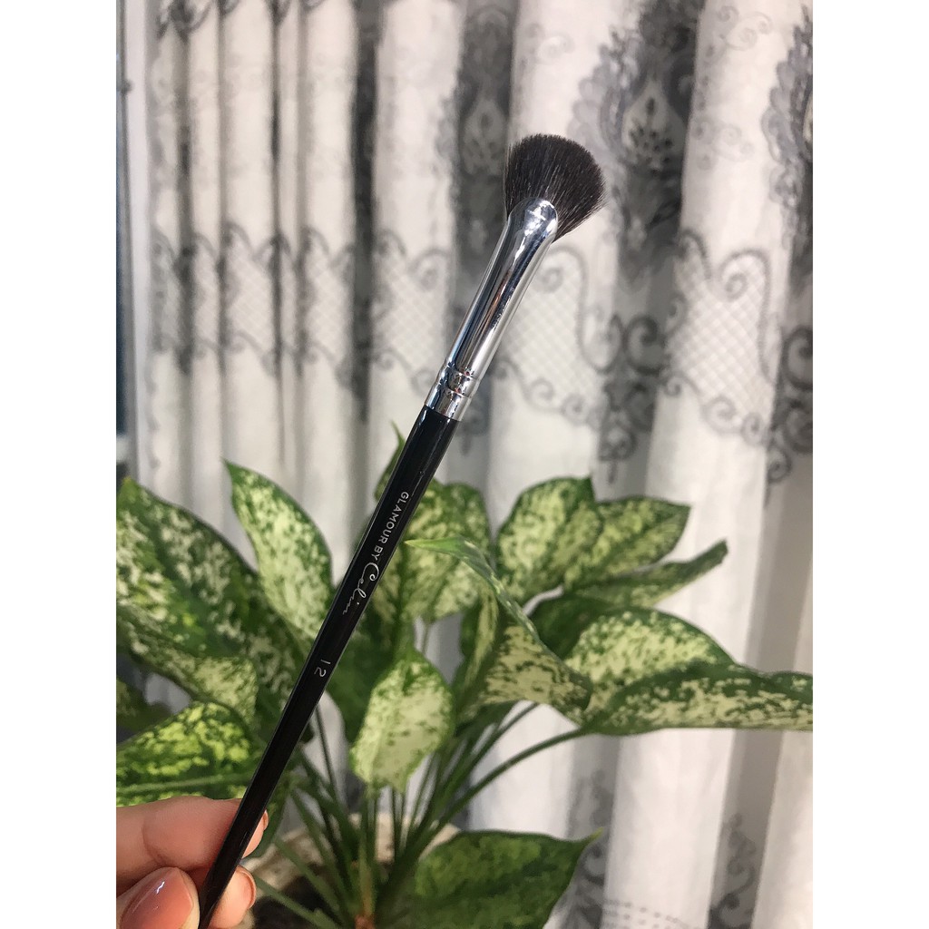 Cọ lẻ Celin (cọ tách từ bộ 28 cây Celin glamour)