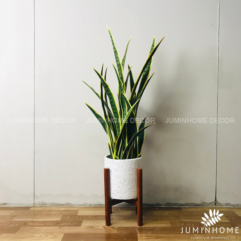 Cây giả, Cây lưỡi hổ giả - Cây giả decor trang trí nhà cửa nội thất phòng khách phòng ngủ