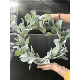 Vòng Nguyệt quế lá bạc