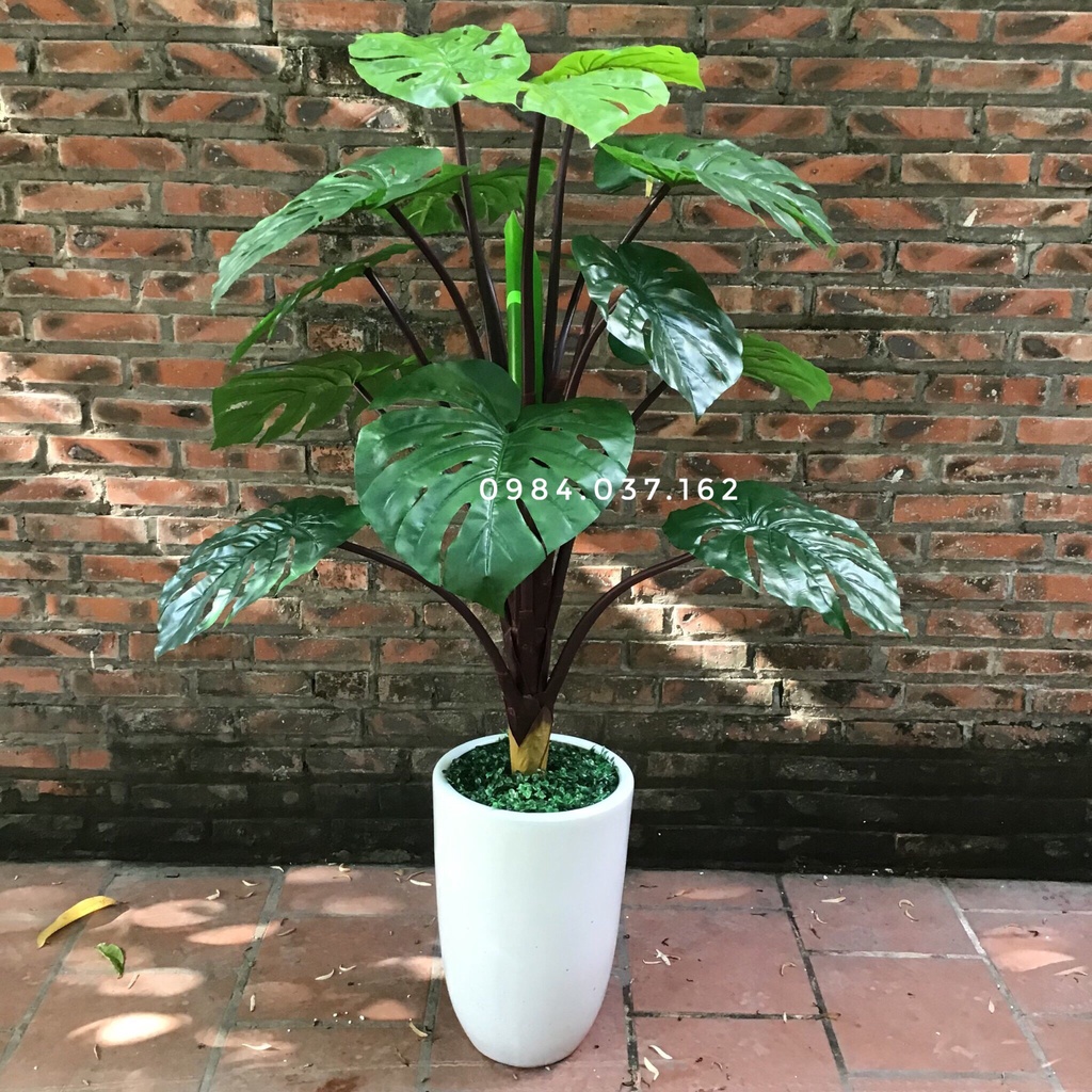 Cây Giả - Cây Giả Đẹp Decor Văn Phòng Độc Đáo
