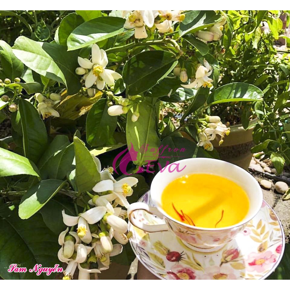 Saffron Nhuỵ Hoa Nghệ Tây 1gr Chính Hãng