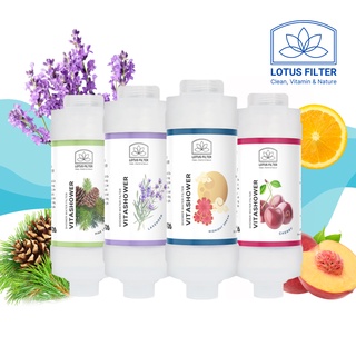 Bộ lọc nước tắm gắn vòi hoa sen VitaShower